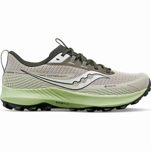 Men's Saucony Peregrine 13 GTX Running Shoes Dust / Umbra | GORQTXA-19