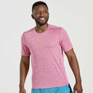 Men's Saucony Stopwatch Short Sleeve T Shirts Pink | XTRBOQI-62