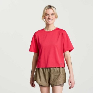 Women's Saucony Elevate Short Sleeve T Shirts Rose | MZFPYHN-05