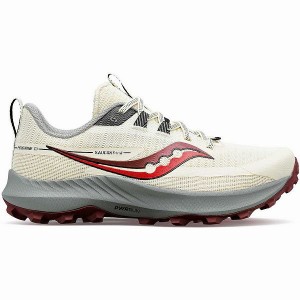 Women's Saucony Peregrine 13 Trail Running Shoes Beige | EUMBDZX-50