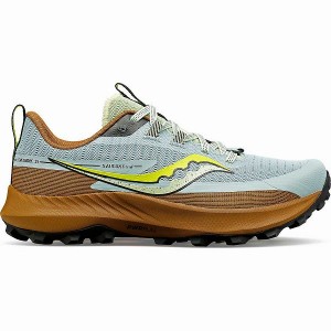 Women's Saucony Peregrine 13 Trail Running Shoes Brown | TZCNUXA-81