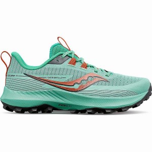 Women's Saucony Peregrine 13 Trail Running Shoes Turquoise / Orange | VBRWPEX-71