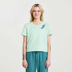 Women's Saucony Rested T Shirts Turquoise | JQOBDES-59