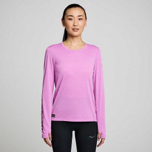 Women's Saucony Stopwatch Graphic Long Sleeve T Shirts Purple | HGKSVCX-96