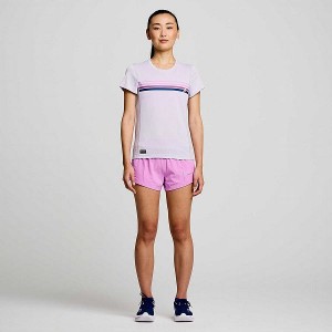 Women's Saucony Stopwatch Graphic Short Sleeve T Shirts Purple | DEPMVQH-84