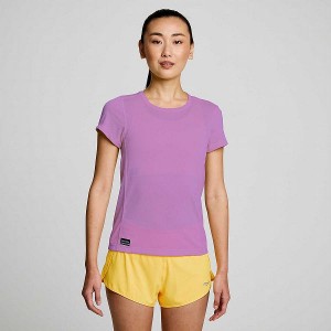 Women's Saucony Stopwatch Short Sleeve T Shirts Purple | NPQVKXU-20