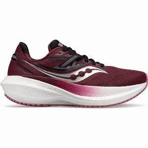 Women's Saucony Triumph 20 Running Shoes Red / Rose | QJGSKFX-60