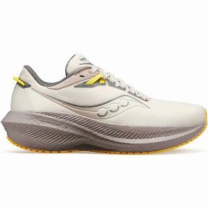 Women's Saucony Triumph 21 RUNSHIELD Running Shoes Beige | TDLYVMS-80