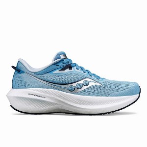 Women's Saucony Triumph 21 Running Shoes Navy | BNPZGJS-84