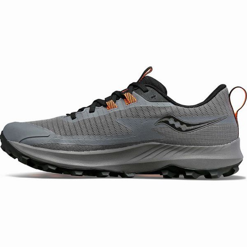 Men's Saucony Peregrine 13 GTX Running Shoes Grey / Black | WBCXFQM-42