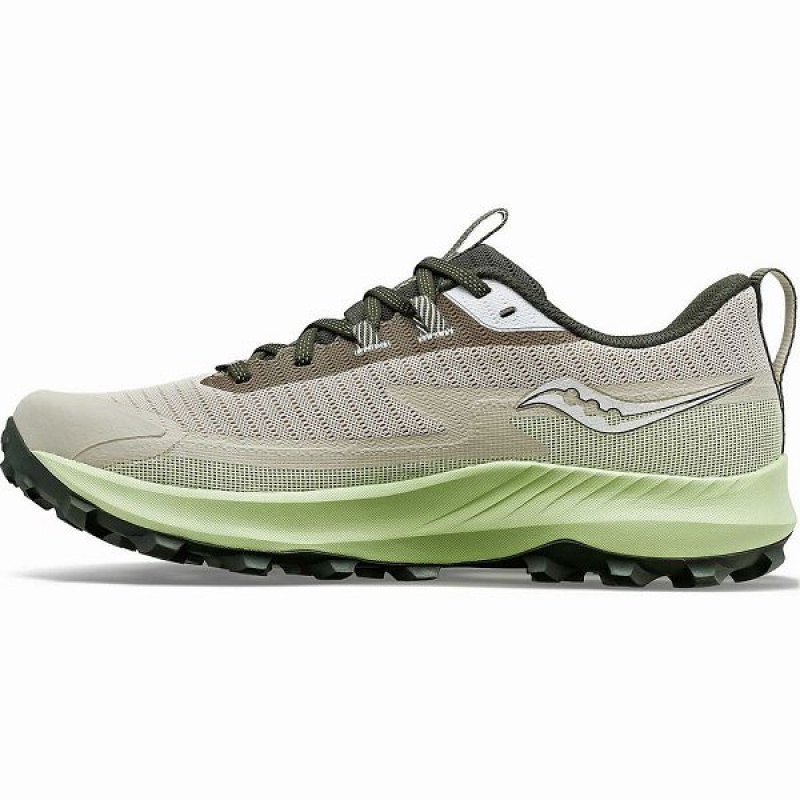 Men's Saucony Peregrine 13 GTX Running Shoes Dust / Umbra | GORQTXA-19