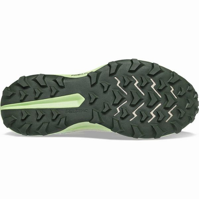 Men's Saucony Peregrine 13 GTX Running Shoes Dust / Umbra | GORQTXA-19