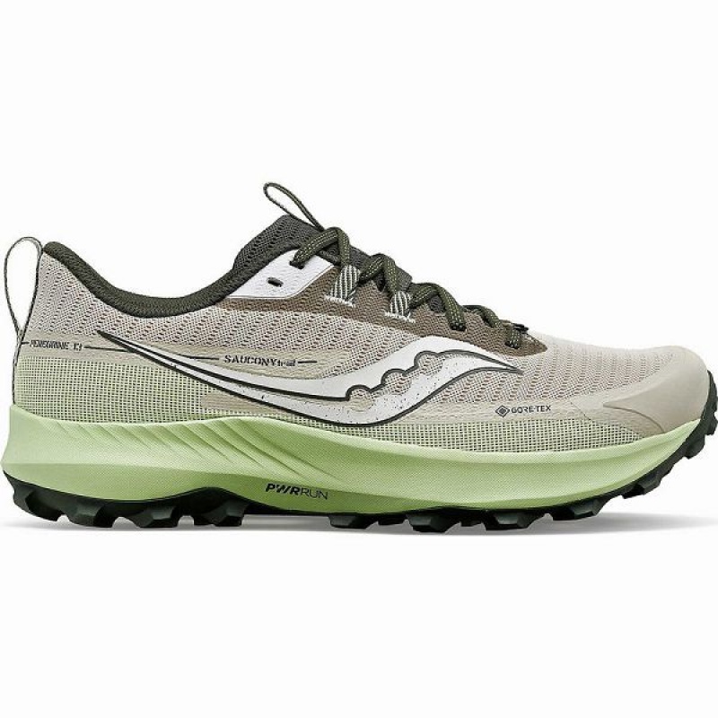 Men\'s Saucony Peregrine 13 GTX Running Shoes Dust / Umbra | GORQTXA-19