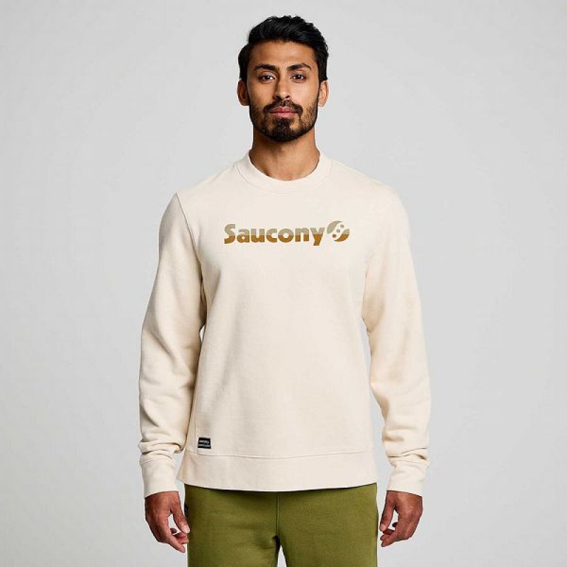 Men's Saucony Recovery Crew Sweatshirt Beige | ZAYRXIM-27