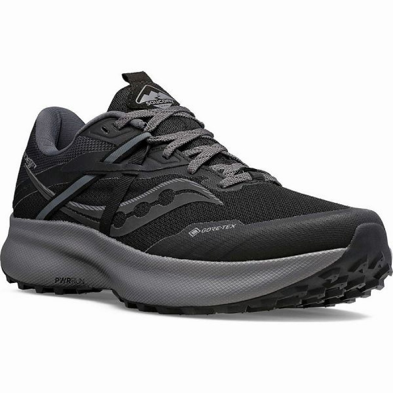 Men's Saucony Ride 15 TR GTX Trail Running Shoes Black / Grey | GFDAZVP-97