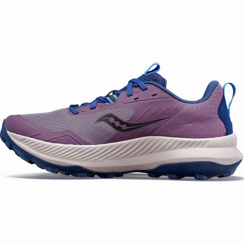 Women's Saucony Blaze TR Running Shoes Purple / Indigo | KTJSLUQ-67