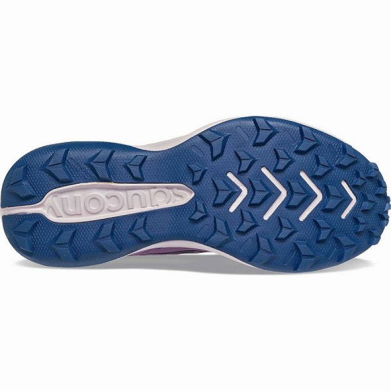 Women's Saucony Blaze TR Running Shoes Purple / Indigo | KTJSLUQ-67