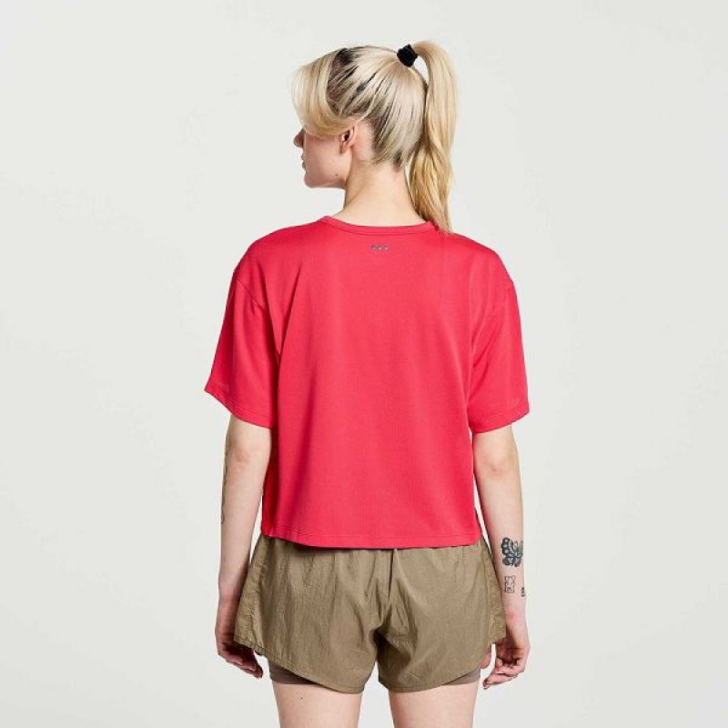 Women's Saucony Elevate Short Sleeve T Shirts Rose | MZFPYHN-05