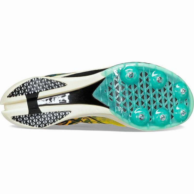 Women's Saucony Endorphin Cheetah Spikes Shoes Black | ZAPVYWE-05