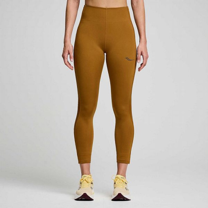 Women\'s Saucony Fortify Viz Tight Brown | MARJTSN-36