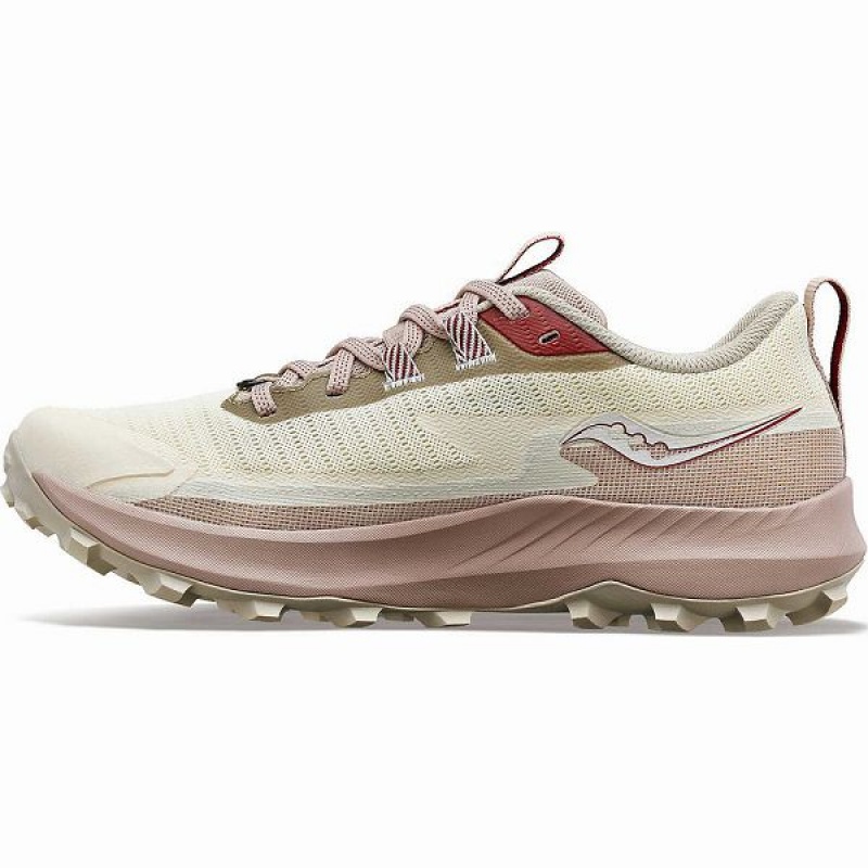 Women's Saucony Peregrine 13 GTX Trail Running Shoes Beige | TVGPNZQ-07