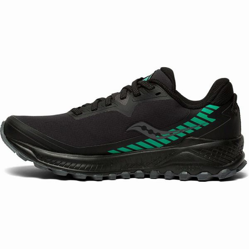 Women's Saucony Peregrine ICE+ Trail Running Shoes Black | TDVWBGR-13