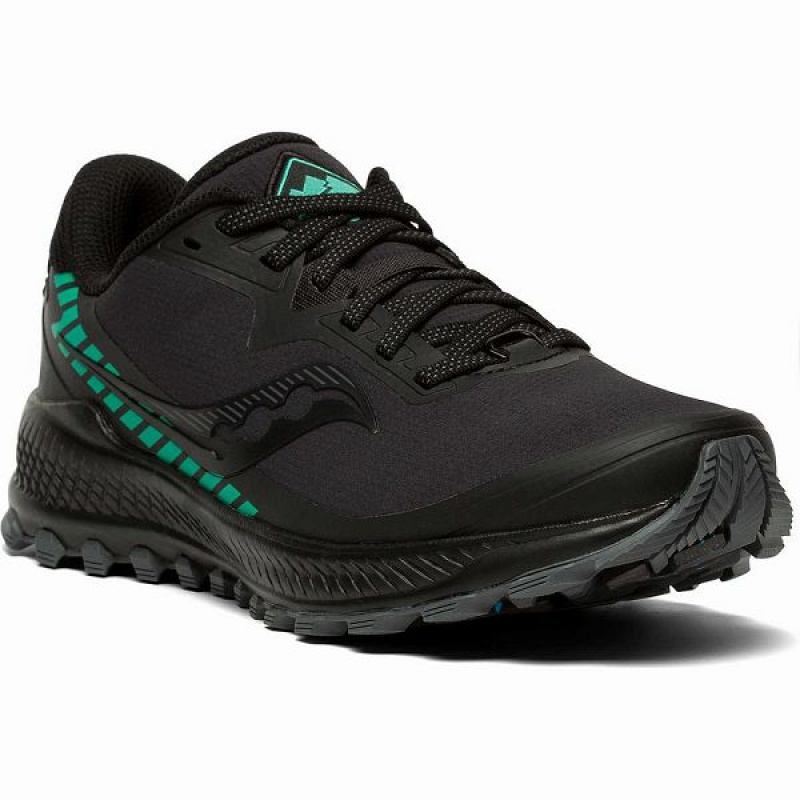 Women's Saucony Peregrine ICE+ Trail Running Shoes Black | TDVWBGR-13