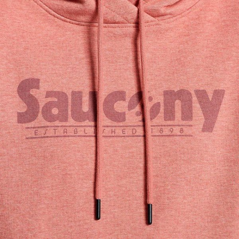 Women's Saucony Rested Hoodie Soot Heather Graphic | KLQTGUA-01