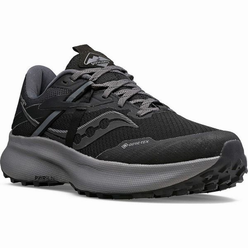 Women's Saucony Ride 15 TR GTX Running Shoes Black / Grey | KSNJZFA-67