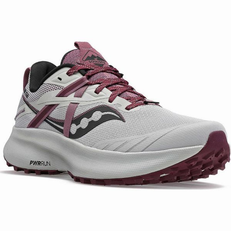 Women's Saucony Ride 15 TR Trail Running Shoes Grey / Purple | PBFOIDK-37